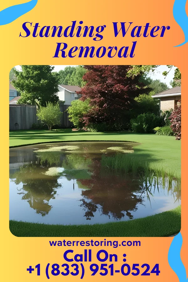 Standing Water Removal in Dayton, IL